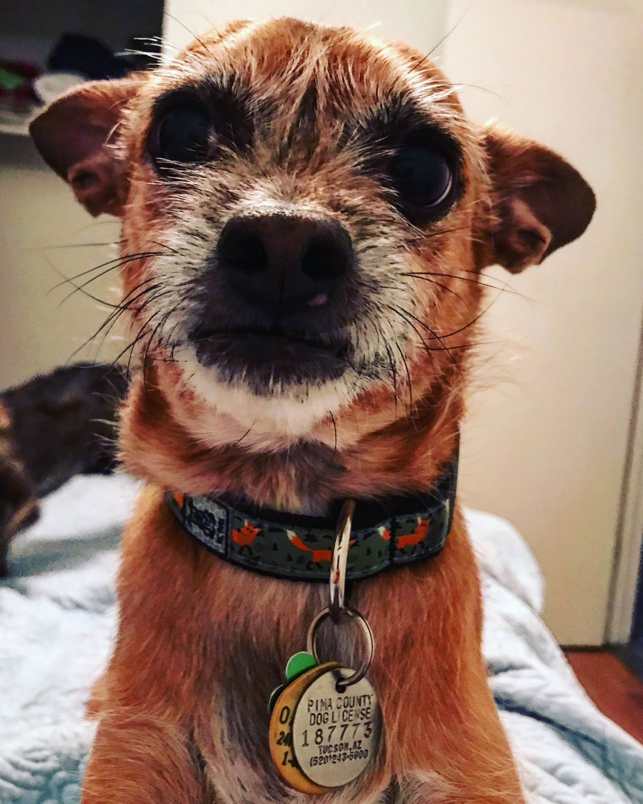 Baxter